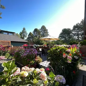 Garden In -beautiful In Holiday home